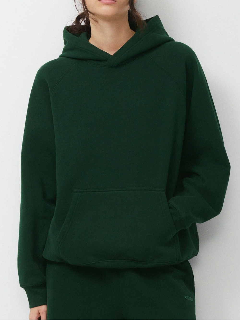 ARITZIA Cozy Sweatfleece Mega Raglan Hoodie